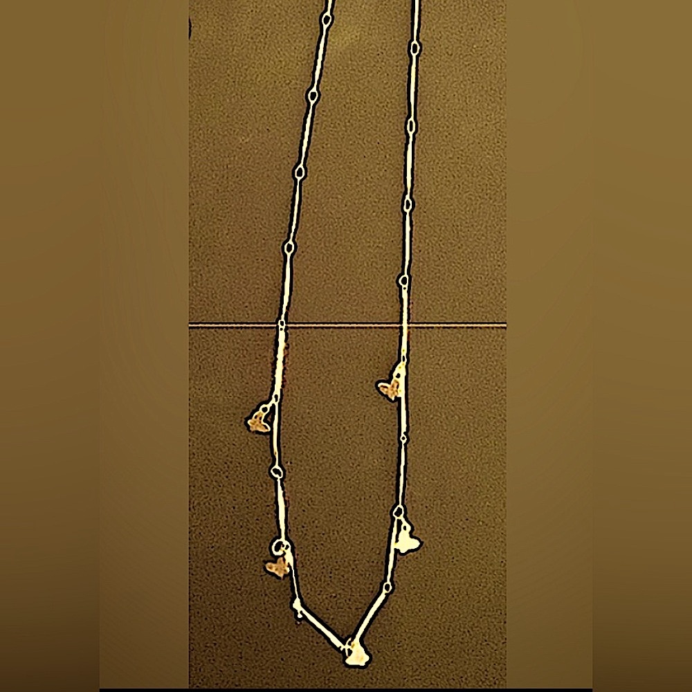 Brand New Gold dainty butterfly necklace. NWOT.